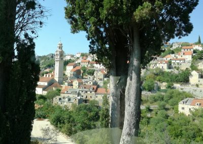 Private boat excursions island Brač